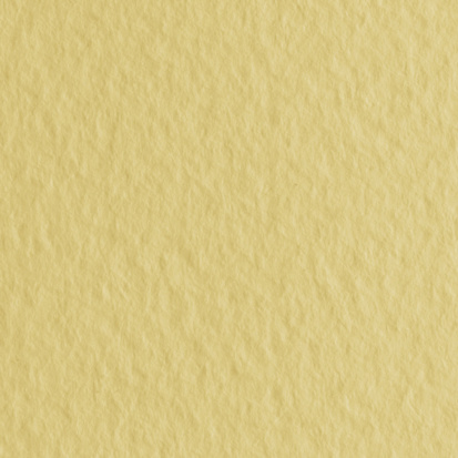 Бумага для пастели "Tiziano" 160г/м2 50x65см банановый 1л